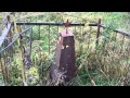 7 Б Я знаю о войне лишь понаслышке 