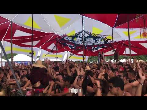 Árvore da Vida 2019 - Front com Neelix