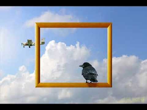 MaximNoise feat. Kern - Käfig