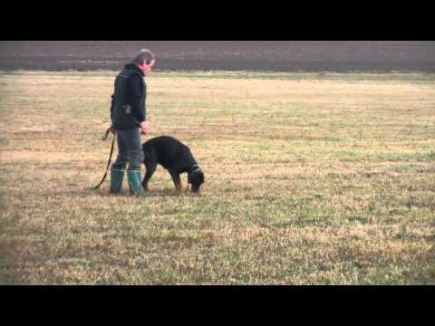 Ivan Zelenka a Aki - trenér Palo Tamáši