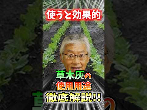 木灰が好きな野菜はどれですか?知っておくべきことはすべて！  庭園