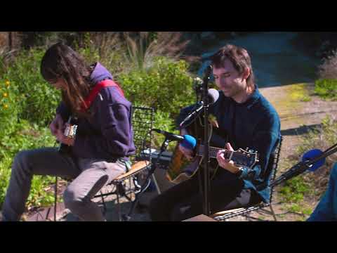 Mutual Benefit - Growing at the Edges - Pulp Arts Garden Sessions