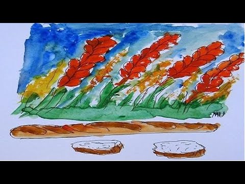 Origine du blé - Histoire du pain