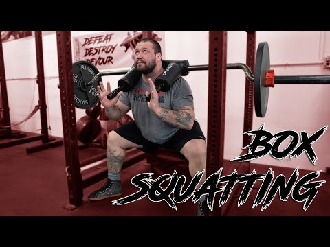 box squat with chains