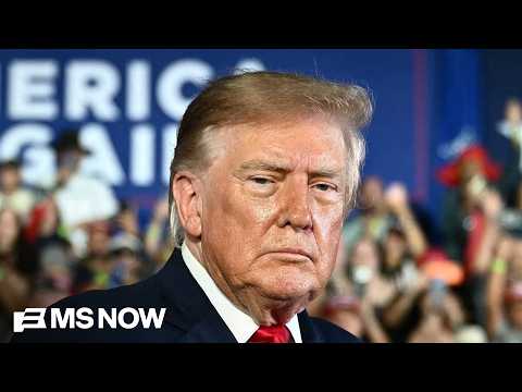 ‘Attention is NOT persuasion’: Dem Strategist on the flaws of Trump’s midterm strategy