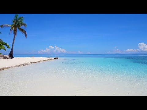 Erleben Sie die tropische Schönheit der Insel Kalanggaman