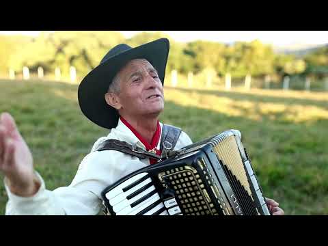 SIÃO CELESTE GAUCHO ALEGRE