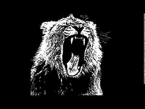 Showtek Vs Knife Party Vs Martin Garrix Party Animals Oliver B Mashup