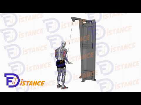 Exercice Extensions triceps en prise inversée à la poulie haute