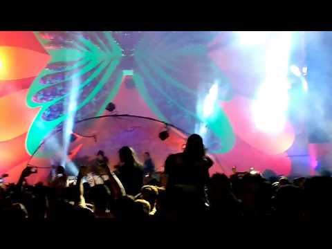 Abertura - mandragora b2b devochka Green valley Kabbalah