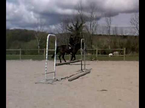 les chevaux saulieu 171