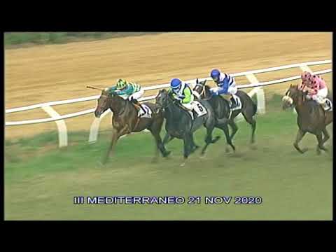 Galoppo Corse del 21 Novembre 2020