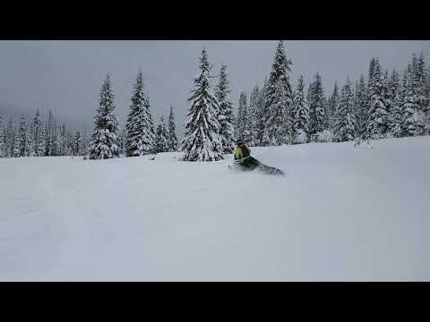 2017 Arctic Cat Mnt Cat 153 with GGB Mnt can