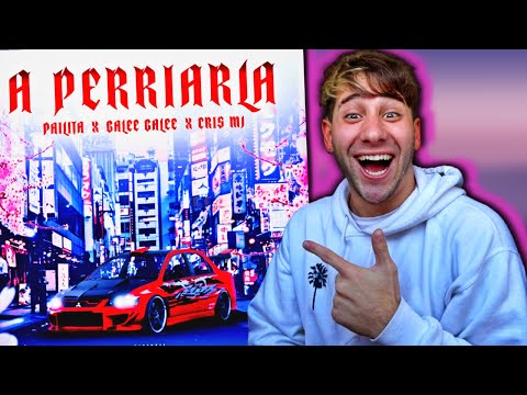 ARGENTINO REACCIONA a Galee Galee, Pailita, Cris Mj - A PERRIARLA (Video Oficial)