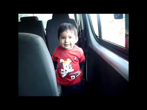 Fernando, como dice la gallina?