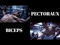 Séance 1/4 : Pectoraux-Biceps (Programme prise de masse en split)