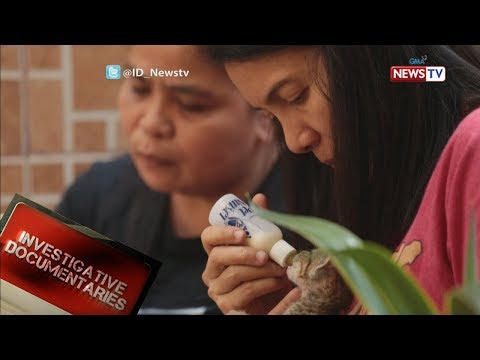 Nabawasan ako ng timbang sa Beijing EFFICIENCY pagkain para sa pagbaba ng timbang
