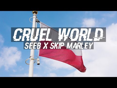 CRUEL WORLD - Seeb x Skip Marley (Tribute-v2)