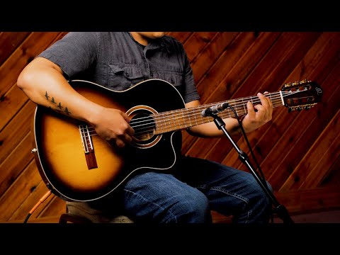 Ortega RCE158SN-TSB Performer Series Solid Spruce Top Mahogany Neck Cutaway Nylon 6-String Classical Acoustic-Electric Guitar w/Gig Bag image 25
