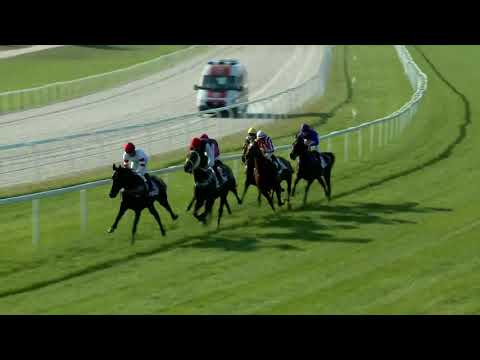 2017.10.01. 6. futam - SZENT LÁSZLÓ DÍJ (HUN Gd-2)