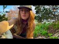 a real song for 2026 - Everything Is Free (Gillian Welch Cover)