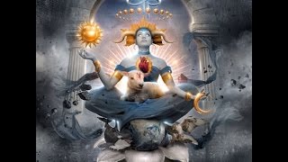 Devin Townsend Project - Offer your Light (Bass Cover)