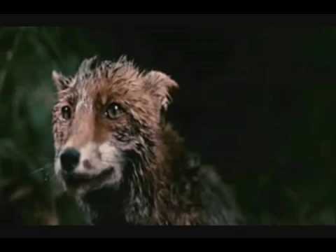 Machine Code vs. King Cannibal - The Corridor is still Cold (Statik Mash Up)