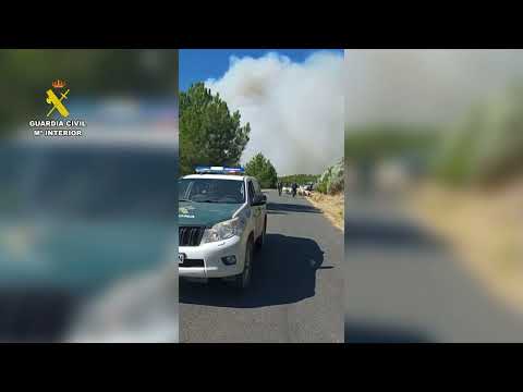 VÍDEO | Detenido el autor del incendio de Ávila: un extrabajador de extinción