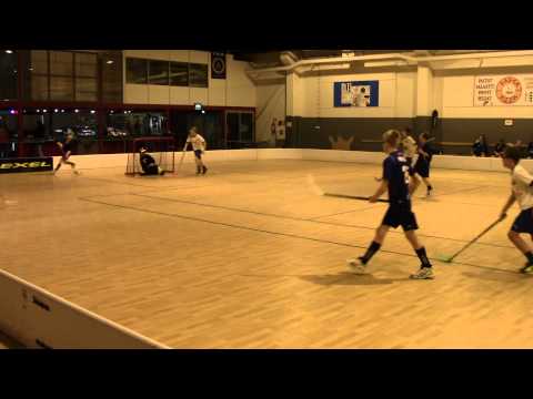 M-Team vs Oilers, D1-jatkosarja, 2015-03-07, erä 1