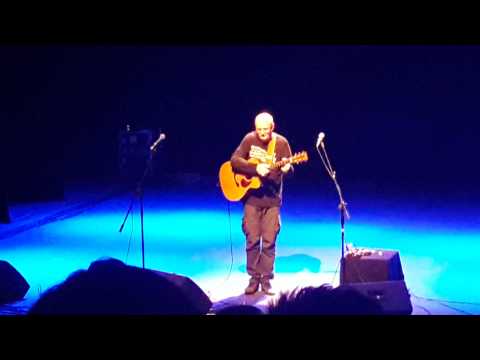 Jungle - Jacques Stotzem ( VietNam IFSGF 2015 )