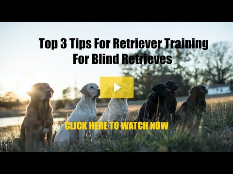 Top 3 Tips For Blind Retrieves