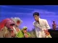 Muppet Songs: Prince - Delirious/Let's Go Crazy