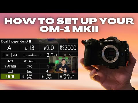How to Set Up Your OM System OM-1 MKII for Landscape and Wildlife Photography