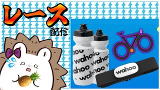 【GGL U600】優勝賞品あり！夢のボトル目指して喰らいつく！【Zwift】