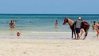 🌴 Djerba Island Paradise | Stunning Panoramic Beach - Dar Jerba Narjess Hotel
