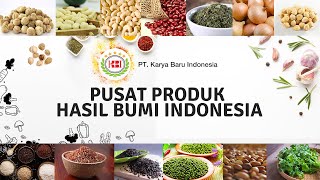 Beras Merah Premium Kemasan 25 Kg