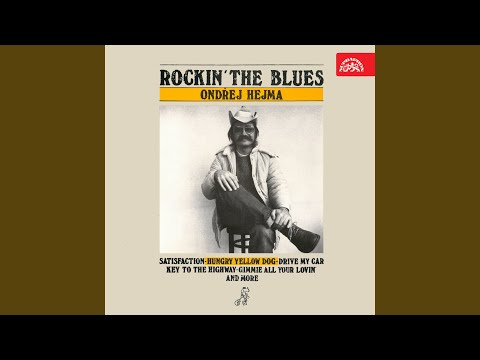 Hungry Yellow Dog