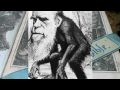 Charles Darwin vs. Adam & Eve 