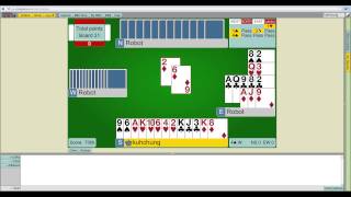 14 hands of Just Play Bridge