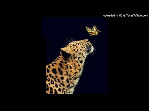 Today's Tango Is... El Jaguar - Juan D'Arienzo 18-09-1969