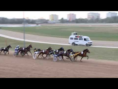 2019.04.06. 08. futam - ZSÖRTÖLŐDŐ DÍJ