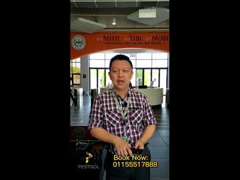 Straits International School