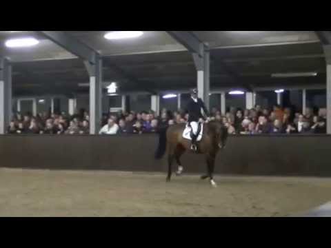 For the Moment, Hengstenshow Reinie Tewis 2015