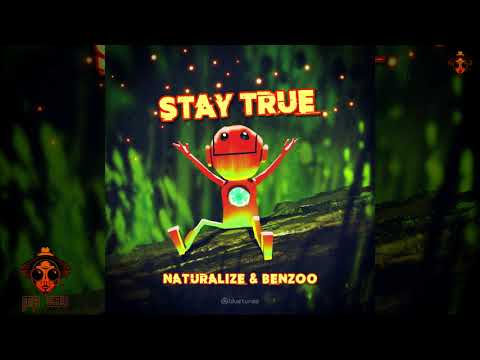 Naturalize & Benzoo - Just Dont
