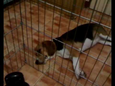 i wonder what's in her dream...