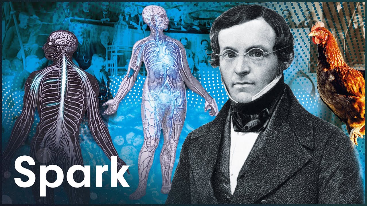 The Fantastical World of Hormones