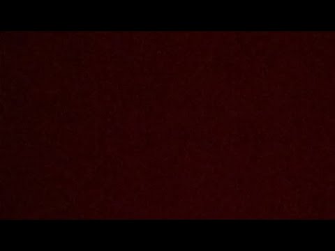 K-kissat bearcats - Viikingit Hettari 2.2.2019