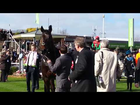 Western Warhorse - Arkle Trophy Chase