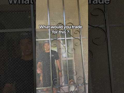 Asking strangers around Hawaii if they would trade me anything for some fresh fish #hawaii #fishing