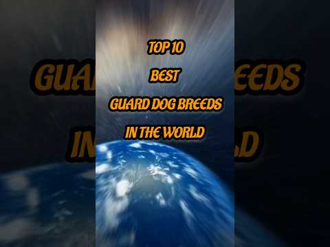 10 best GUARD DOG breeds in the WORLD #dogs